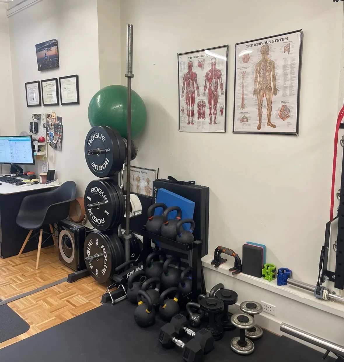 Kinesiology study space with anatomy posters, free weights, kettlebells, and exercise equipment